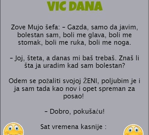 Vic dana- Zove Mujo šefa…