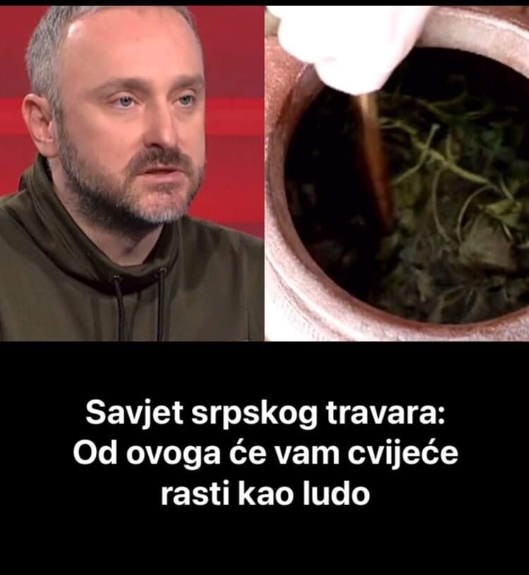 Evo šta vam treba da vaše CVIJEĆE RASTE KAO LUDO!