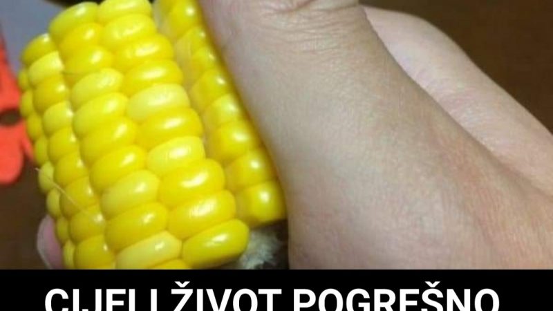 CIJELI ŽIVOT POGREŠNO JEDEMO KUHANI KUKURUZ