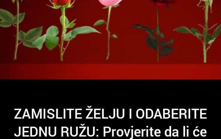 Zamislite želju i odaberite ružu-pogledajte šta to o vama govori