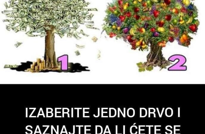 Odaberite drvo i pogledajte da li ćete se obogatiti u budućnosti