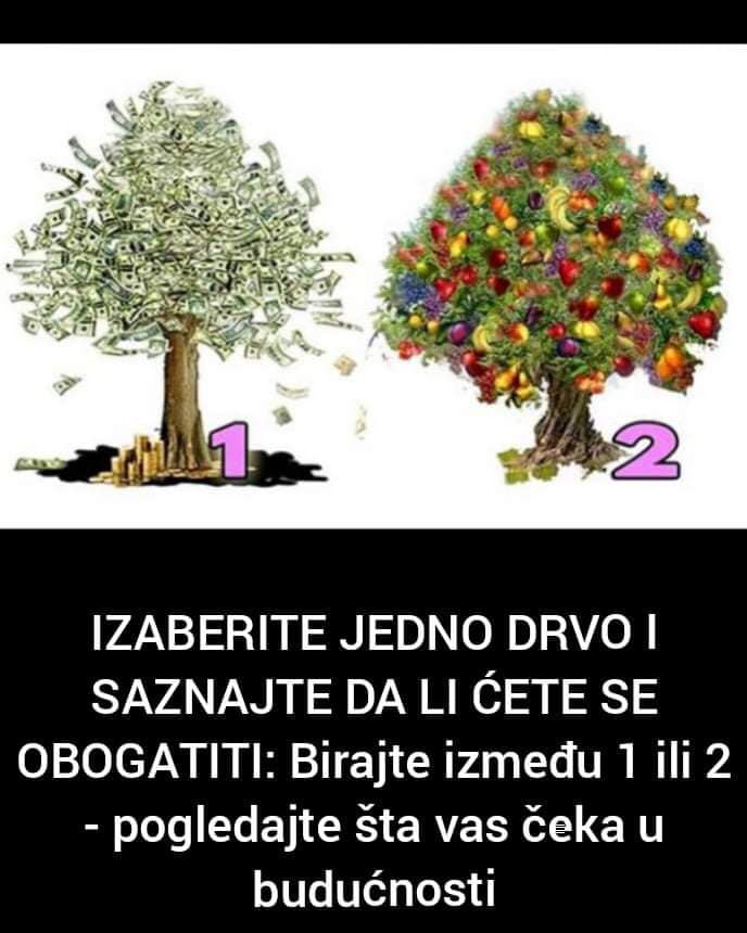 Odaberite drvo i pogledajte da li ćete se obogatiti u budućnosti