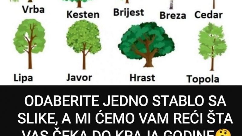 Izaberite jedno drvo sa fotografije i pogledajte šta vas očekuje do kraja godine