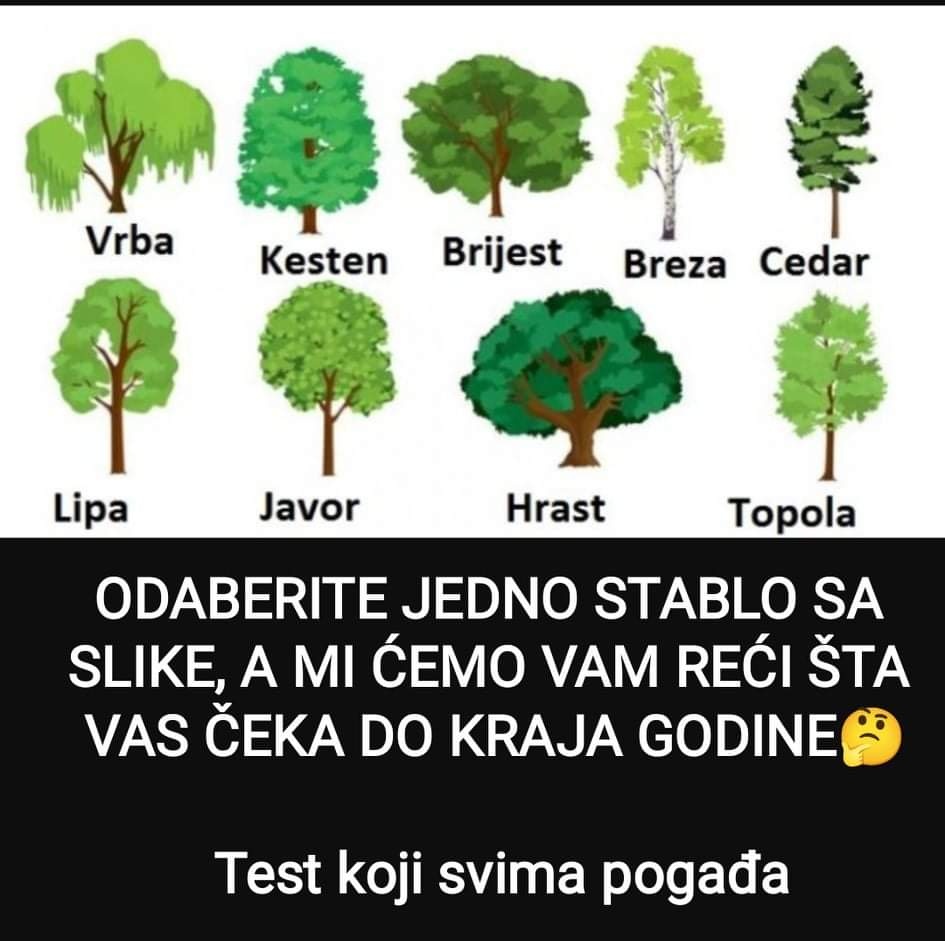 Izaberite jedno drvo sa fotografije i pogledajte šta vas očekuje do kraja godine