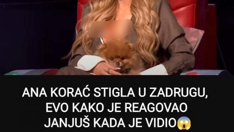 Pogledajte kako je Ana Korac stigla u Zadrugu